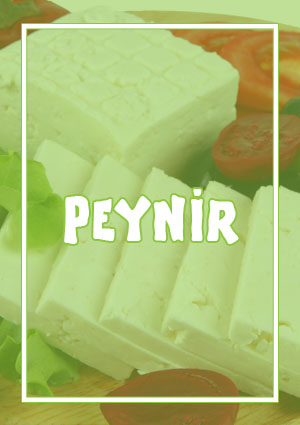 Hakkımızda